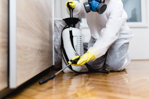 Best Wasp Removal Services  in Middlesex, NC