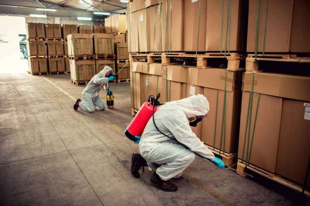Best Pest Inspection Near Me  in Middlesex, NC