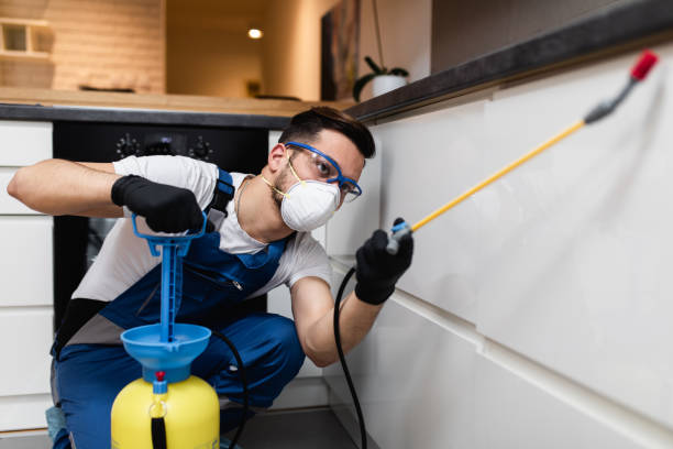 Best Mosquito Control Services  in Middlesex, NC