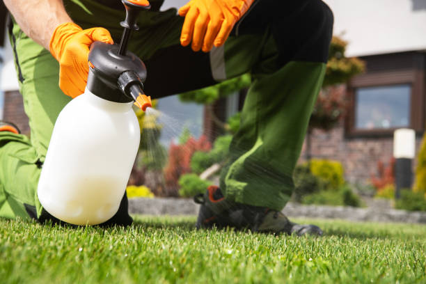 Best Residential Pest Control  in Middlesex, NC