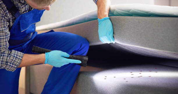 Best Pest Control for Homes  in Middlesex, NC