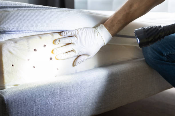 Best Wildlife Control Services  in Middlesex, NC
